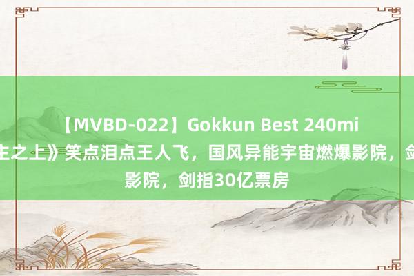 【MVBD-022】Gokkun Best 240min. 《异东谈主之上》笑点泪点王人飞，国风异能宇宙燃爆影院，剑指30亿票房