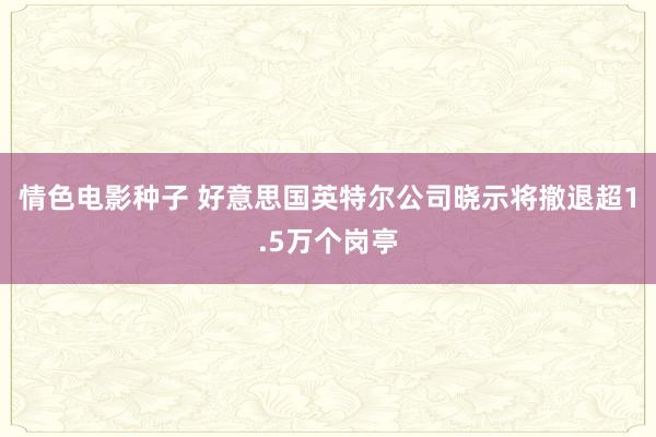 情色电影种子 好意思国英特尔公司晓示将撤退超1.5万个岗亭