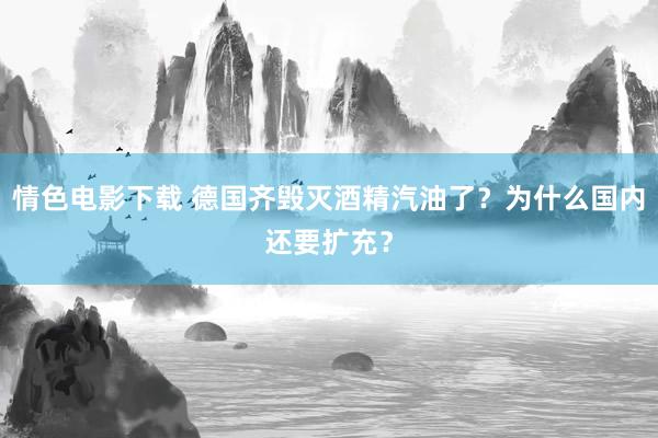 情色电影下载 德国齐毁灭酒精汽油了？为什么国内还要扩充？