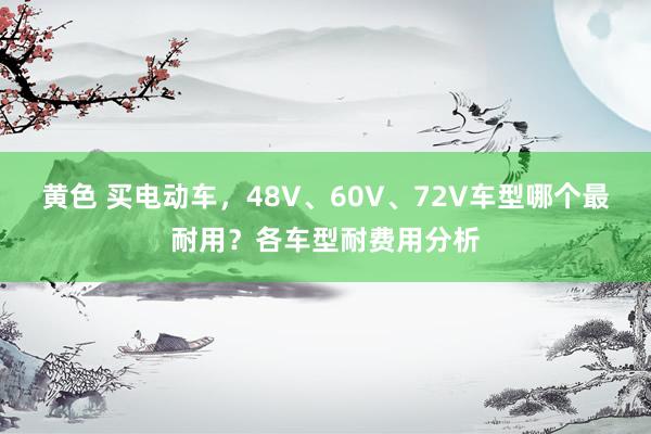 黄色 买电动车，48V、60V、72V车型哪个最耐用？各车型耐费用分析