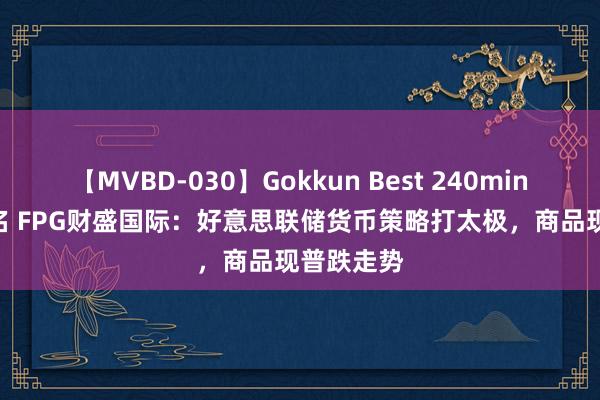 【MVBD-030】Gokkun Best 240min. 総勢12名 FPG财盛国际：好意思联储货币策略打太极，商品现普跌走势