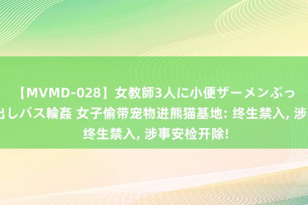 【MVMD-028】女教師3人に小便ザーメンぶっかけ2穴中出しバス輪姦 女子偷带宠物进熊猫基地: 终生禁入， 涉事安检开除!