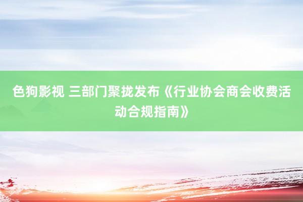 色狗影视 三部门聚拢发布《行业协会商会收费活动合规指南》