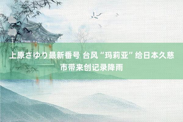 上原さゆり最新番号 台风“玛莉亚”给日本久慈市带来创记录降雨