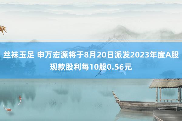 丝袜玉足 申万宏源将于8月20日派发2023年度A股现款股利每10股0.56元