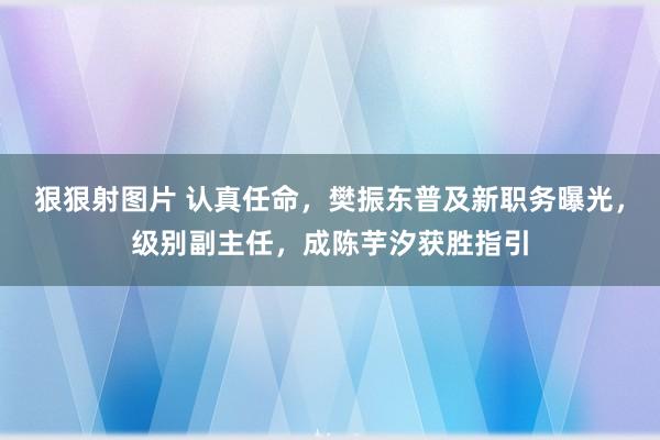 狠狠射图片 认真任命，樊振东普及新职务曝光，级别副主任，成陈芋汐获胜指引