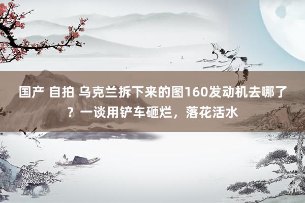 国产 自拍 乌克兰拆下来的图160发动机去哪了？一谈用铲车砸烂，落花活水