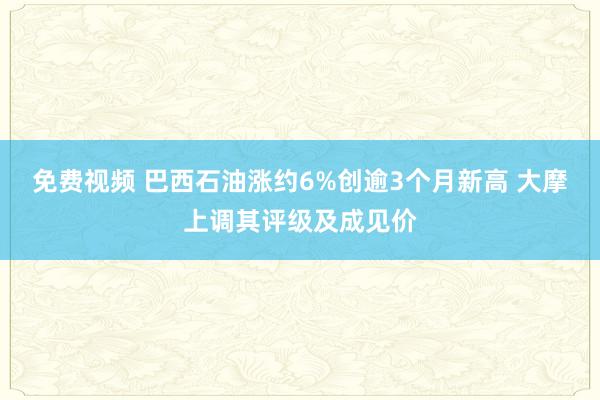 免费视频 巴西石油涨约6%创逾3个月新高 大摩上调其评级及成见价