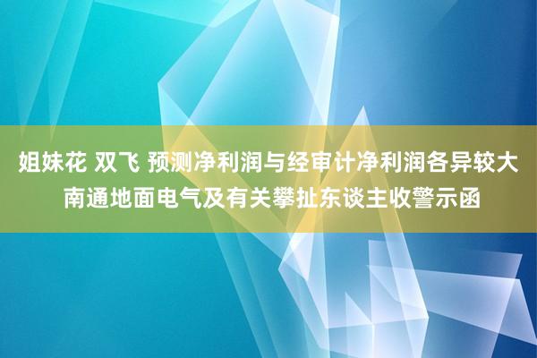 姐妹花 双飞 预测净利润与经审计净利润各异较大 南通地面电气及有关攀扯东谈主收警示函