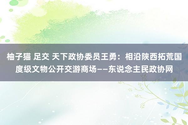 柚子猫 足交 天下政协委员王勇：相沿陕西拓荒国度级文物公开交游商场——东说念主民政协网