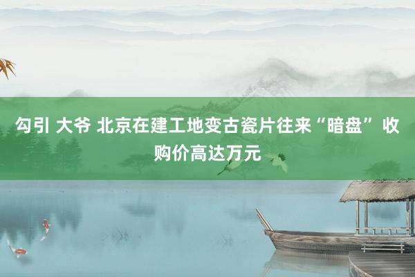 勾引 大爷 北京在建工地变古瓷片往来“暗盘” 收购价高达万元