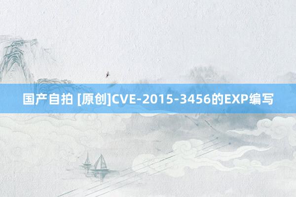 国产自拍 [原创]CVE-2015-3456的EXP编写